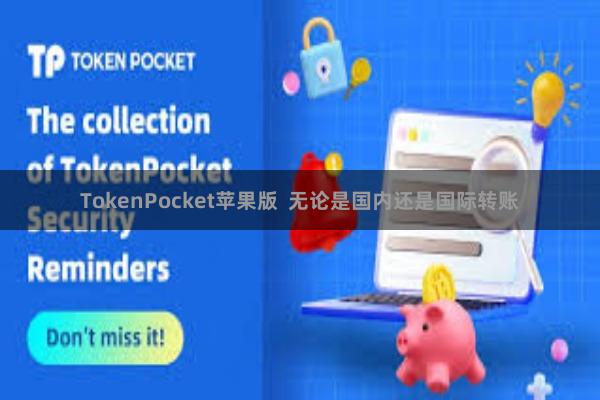 TokenPocket苹果版  无论是国内还是国际转账