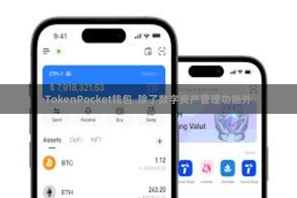TokenPocket钱包  除了数字资产管理功能外