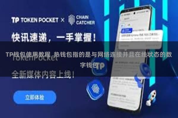 TP钱包使用教程  热钱包指的是与网络连接并且在线状态的数字钱包
